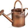 Level Up Your Plant Care | Stylish Copper Watering Can