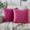Best Velvet Pillow Covers in 2-Pack | Spruce Up Your Space!