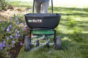 Lawn Hero: Scotts Spreader (Salt, Fertilizer & Seed) Saves the Day