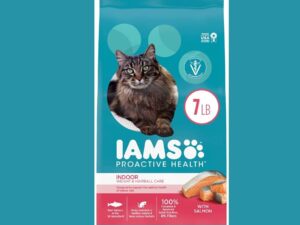 Vet Recommended: Best Cat Food for Hairballs & Weight!