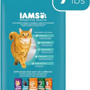 Iams Proactive Health Care Dry Cat Food